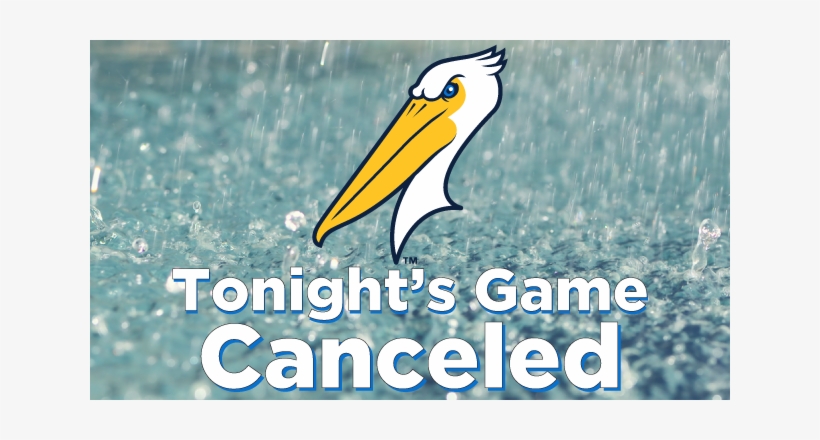 By Joey Liberatore / Myrtle Beach Pelicans - Petricor: La Situación De La Tierra Es Crítica Debido, transparent png download