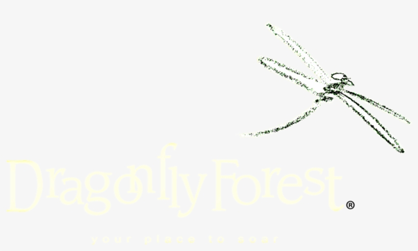 Dragonfly Png, transparent png download