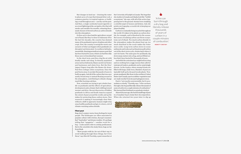 Untitled, Tailpiece, Pg. 135, In The Book Dingo By, transparent png download