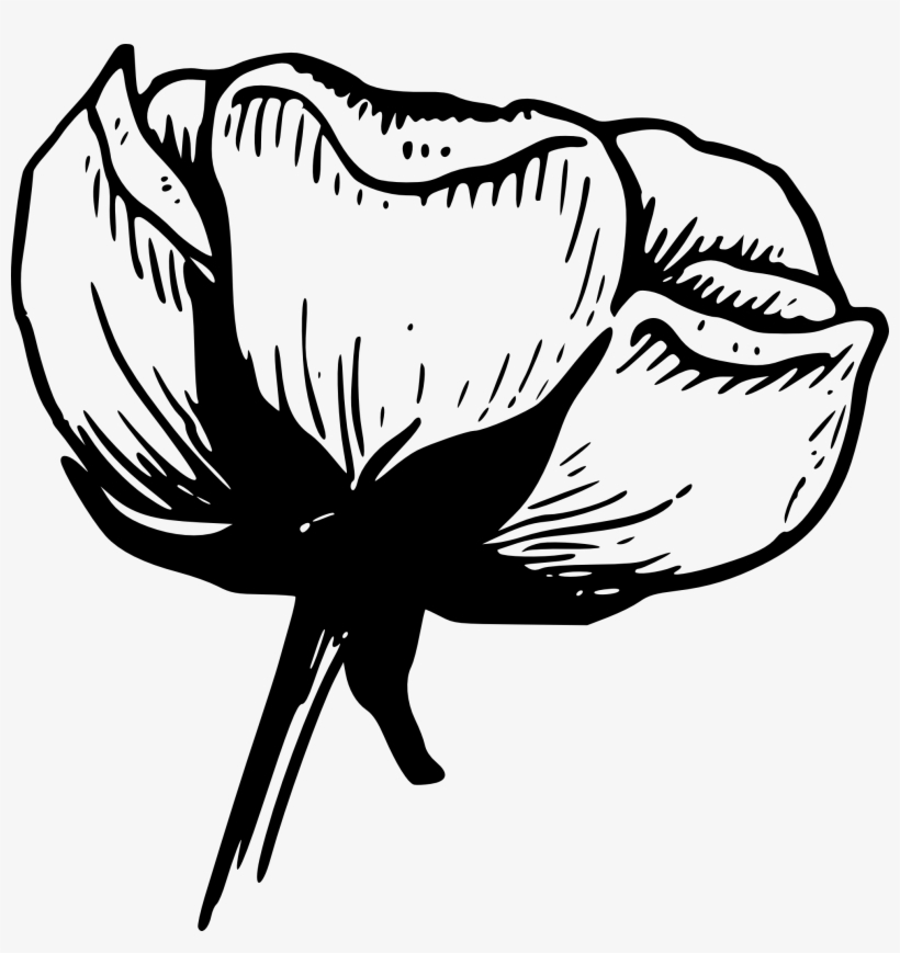 Black And White Floral, transparent png download