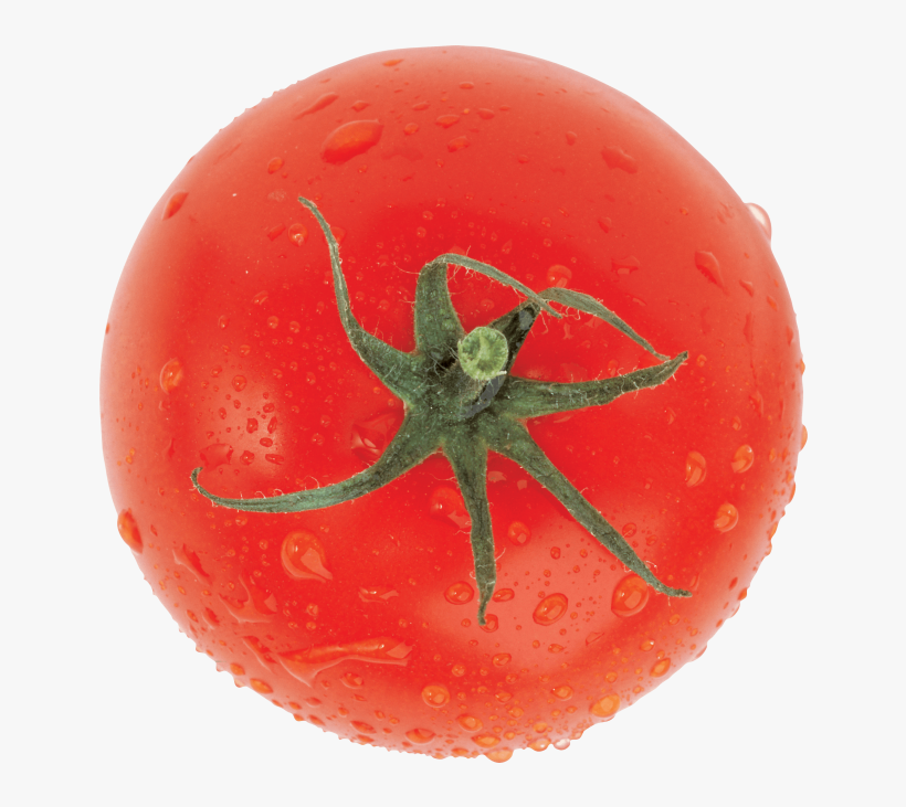 Top View Fresh Tomato - Tomato, transparent png download