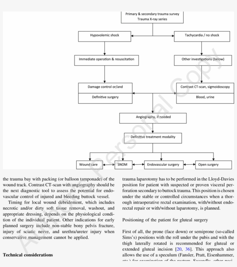 Basic Scheme Of Algorithm For Management Of Penetrating - Diagram, transparent png download