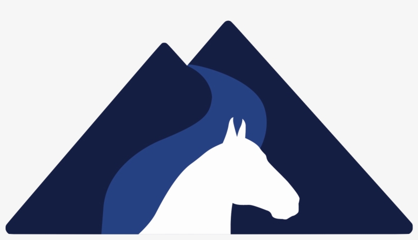 Roaring Fork Equine Medical Center - Stallion, transparent png download