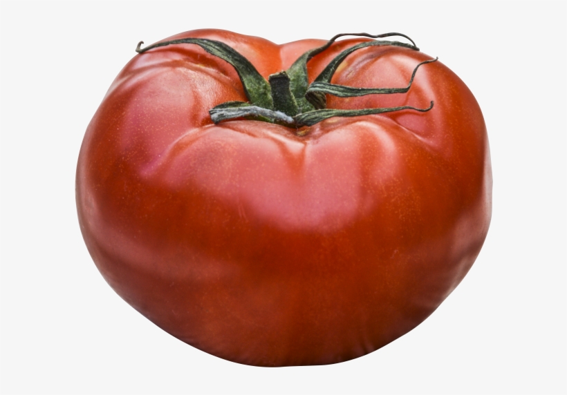 Tomato Png Image - Tomato, transparent png download