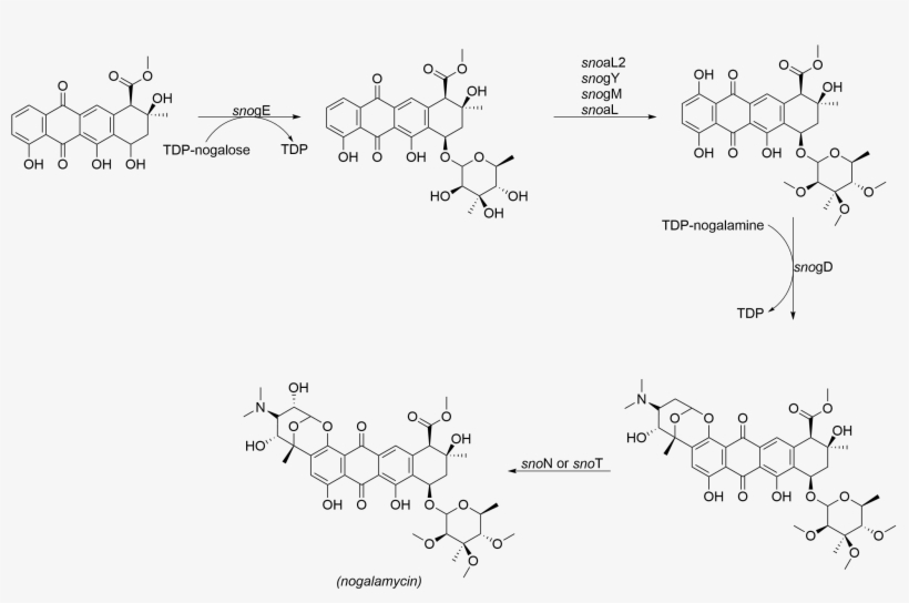 File - Tailoring - Tocotrienol, transparent png download
