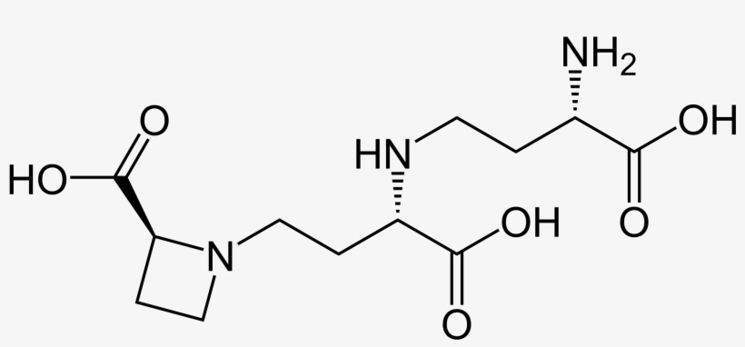 Png - Ch3 2chnh2, transparent png download