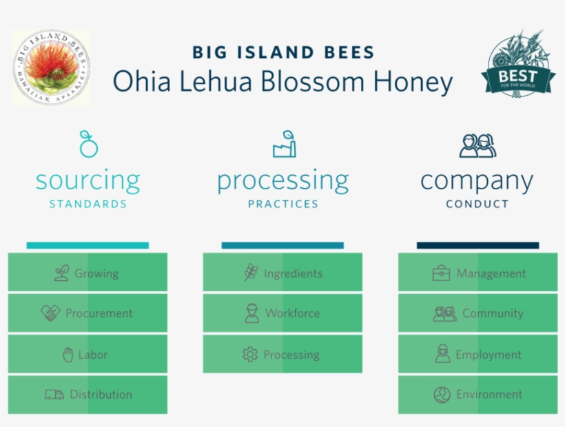 Big Island Bees - Illustrator, transparent png download