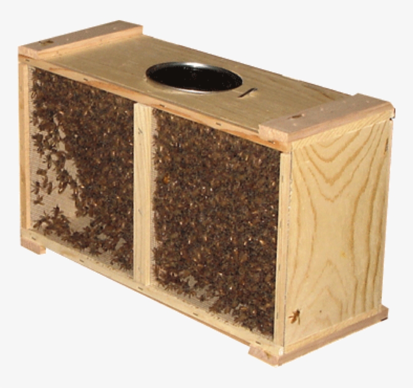 3lb Package Of Bees, transparent png download