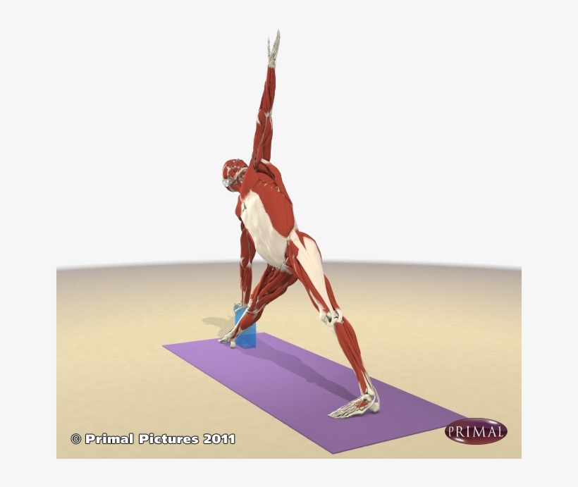 Search Products - Basketball Moves, transparent png download