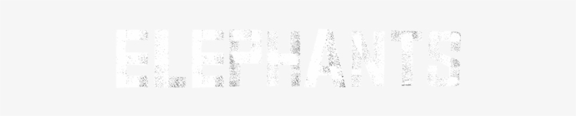 Elephants Elephants, transparent png download