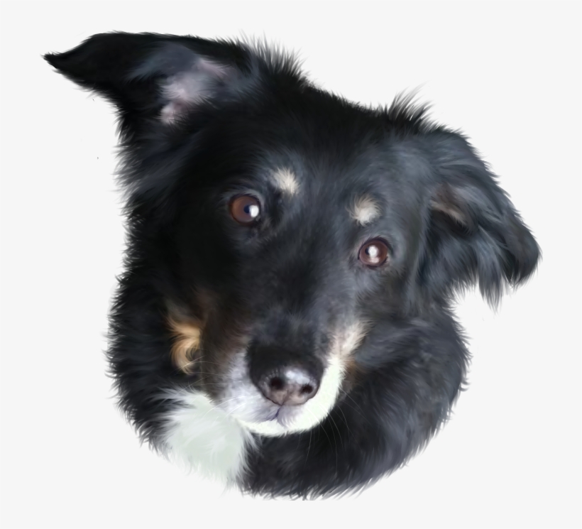 Tasca Memorial Art - Companion Dog, transparent png download