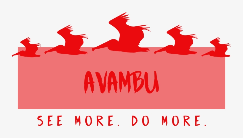 Graphic Design, transparent png download