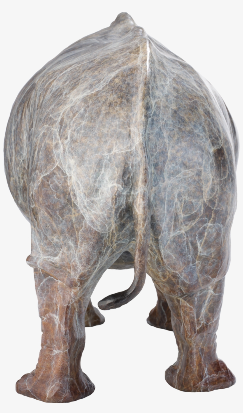 More Views - Rhinoceros, transparent png download
