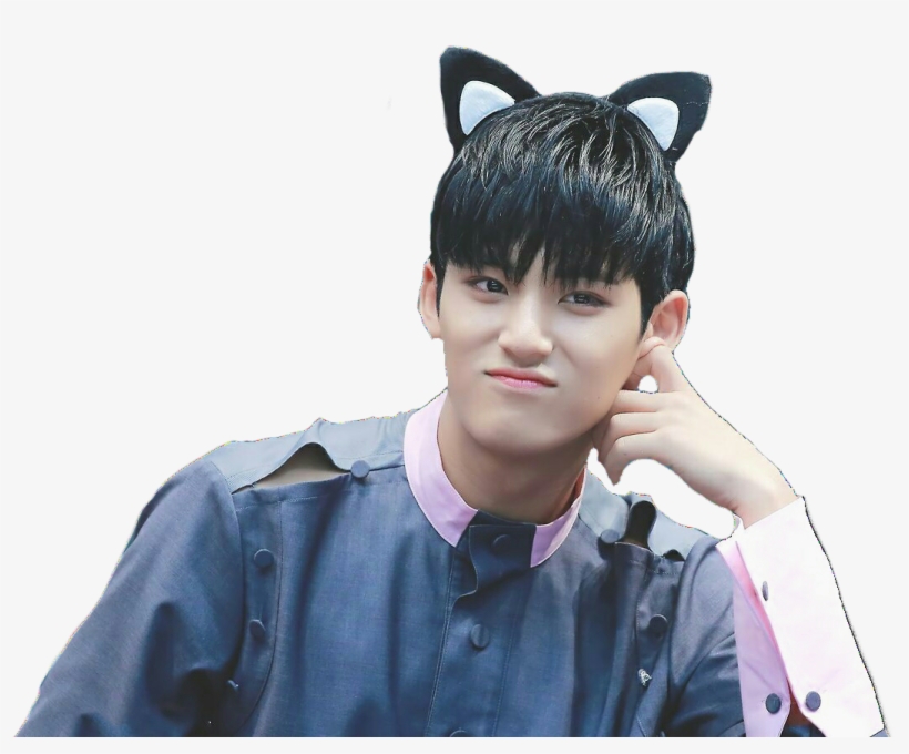 Report Abuse - Svt Mingyu Png, transparent png download