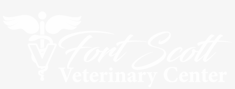 2091 Indian Road Fort Scott, Ks - Kim Scott: Southern Heat Cd, transparent png download