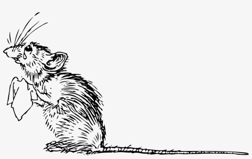 Sad Mouse, transparent png download