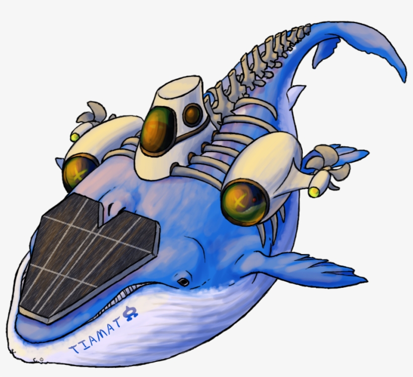 Wailord - .com, transparent png download