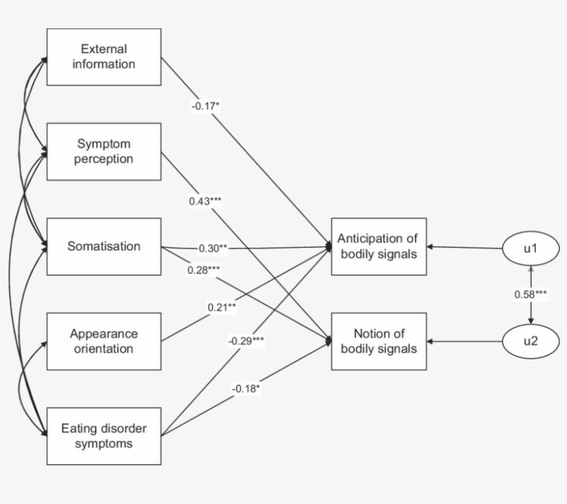 Restricted Path Model For Eating-disordered Women - Circle, transparent png download