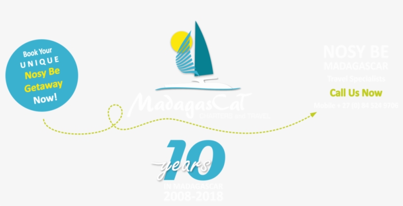 Madagascat Ten Years Logo White, transparent png download