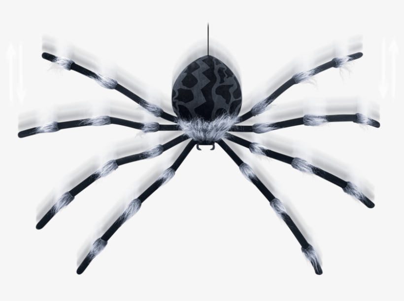 Large Shaking Spider - Holiday, transparent png download