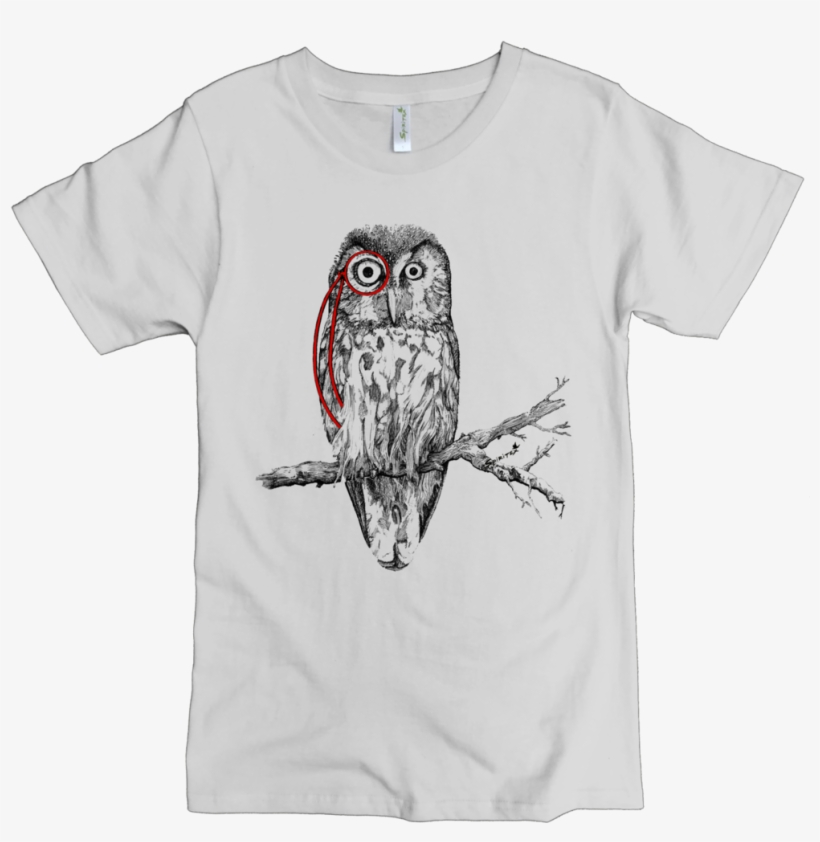 Western Screech Owl, transparent png download
