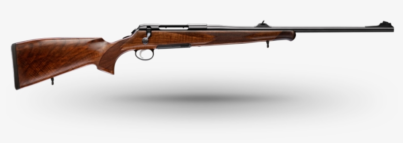 Standard Range And Options - Rifle Titan 3, transparent png download