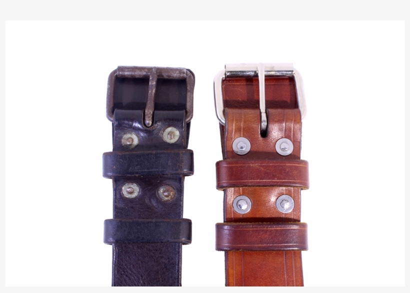 Our Reproduction On The, transparent png download