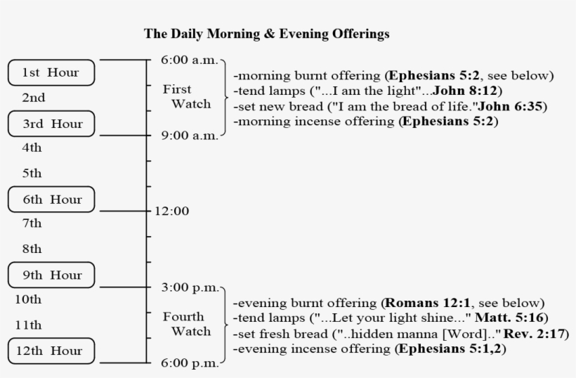 Lesson11-11 - Document, transparent png download