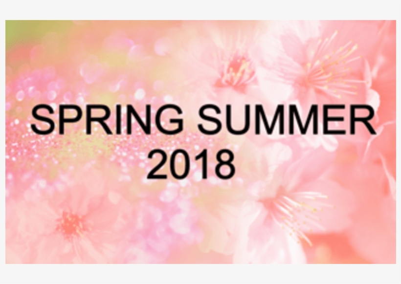 Zoom Fashion Ltd, Manchester - Pink Flower Background, transparent png download