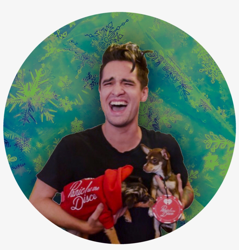 Brendon Urie Holiday Png Icons - Brendon Urie Kinky Boots, transparent png download