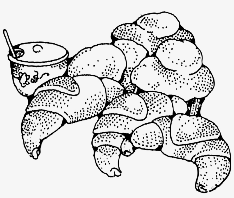 And Honey Png, transparent png download