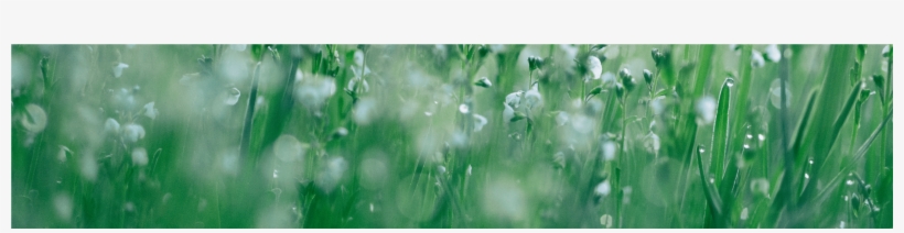 Jessica Wiley New Islamic Dpz Transparent Png 2560x540 Free Download On Nicepng