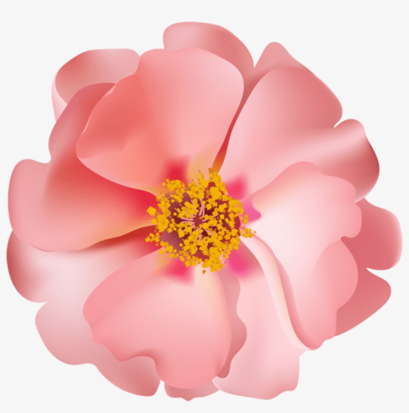 Free Png Rosebush Flower Png Images Transparent - Clip Art, transparent png download