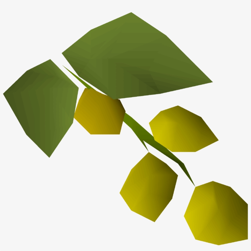 Wiki, transparent png download