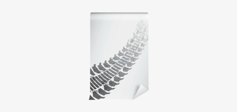 Tire, transparent png download