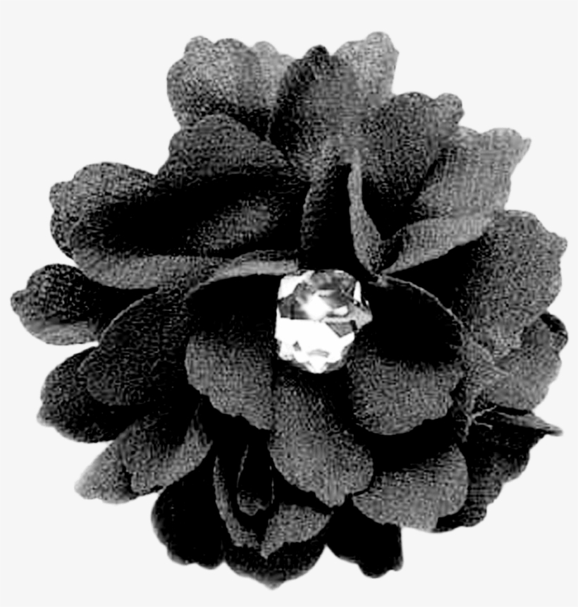 Black Flower - Black Flower Png, transparent png download