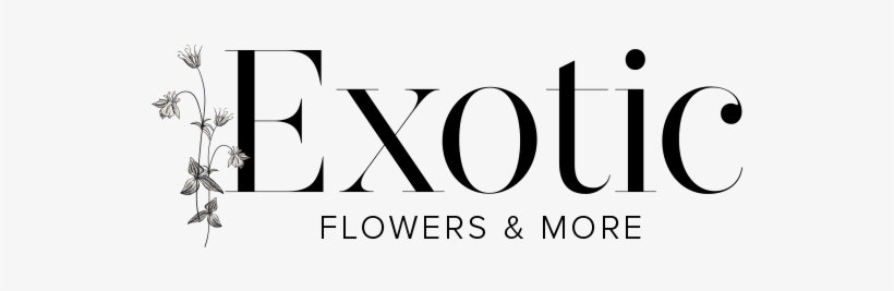 Exotic Flowers & More - Calligraphy, transparent png download