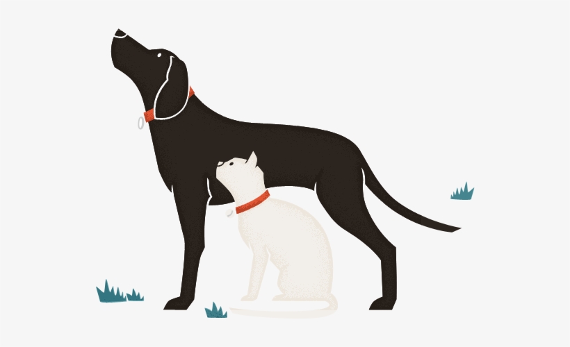 Tapeworm Header - Cat, transparent png download