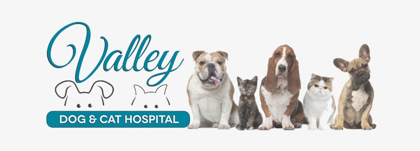 Retinol Cream 2.5%, Organic With Hyaluronic Acid, 2, transparent png download