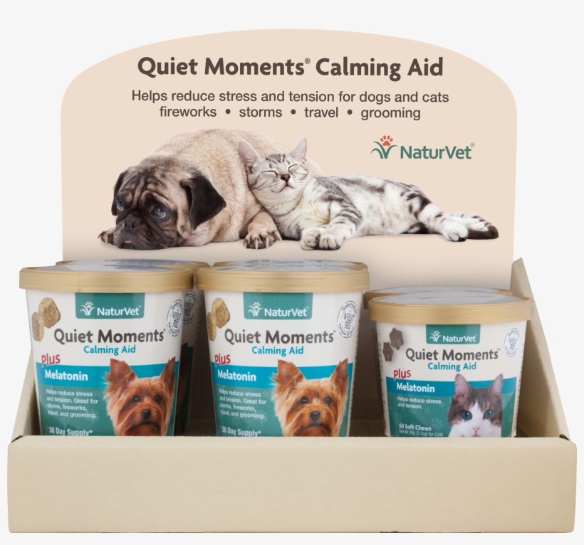 Quiet Moments® 12" Dog/cat Soft Chew Countertop Display - Pps. Imaging Gmbh Leinwandbild Beste Freunde Panorama, transparent png download