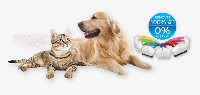 Aren't You Ready To Shed The Worry Of Grooming Your - Golden Retriever Cat Png, transparent png download