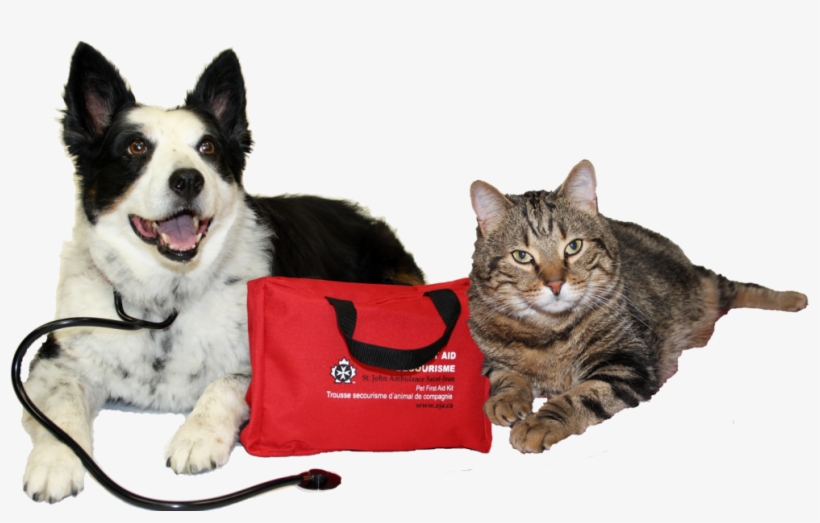 Are You Prepared For A Pet Emergency - Pet First Aid, transparent png download
