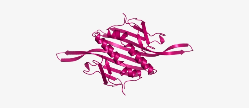 240 × 240 Pixels - Portable Network Graphics, transparent png download