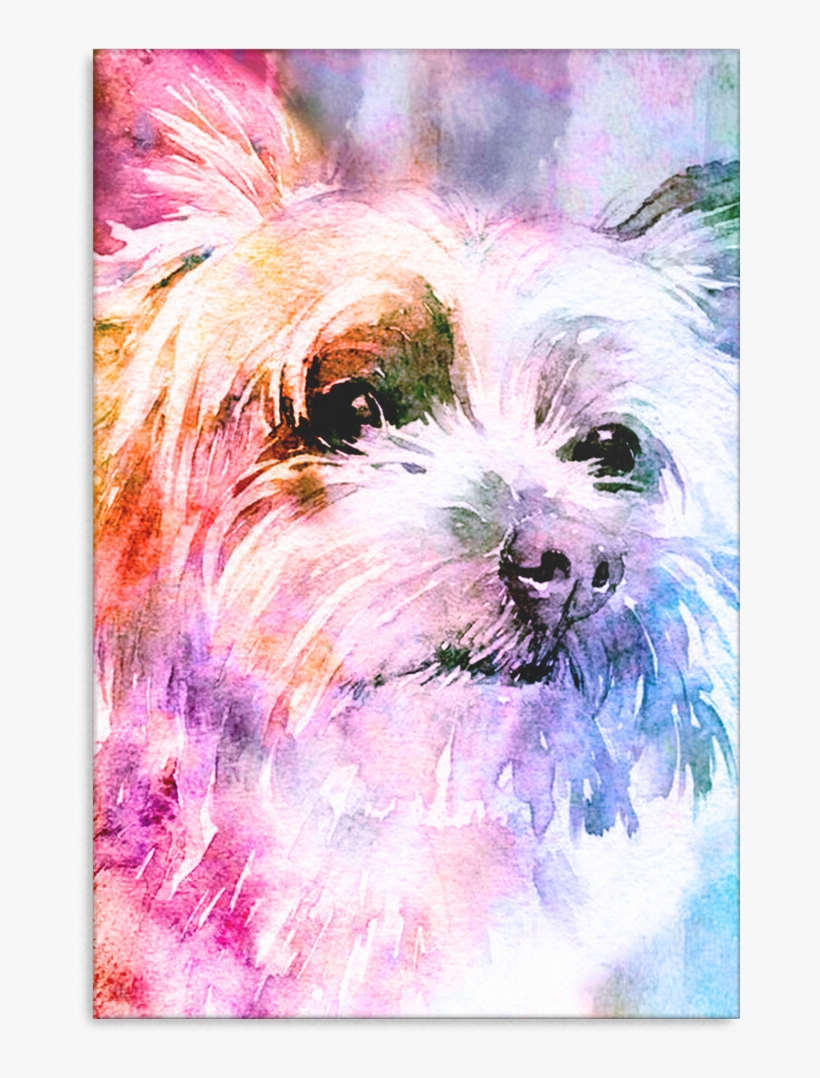 Yorkie Canvas P032 - Yorkshire Terrier, transparent png download