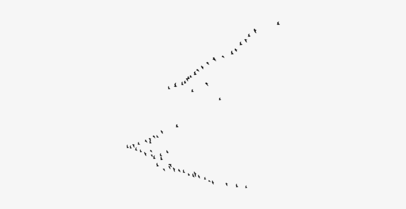 Flying Bird Png Image - Transparent Background With Birds, transparent png download