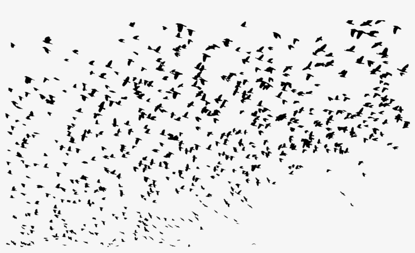 Flock Of Birds Silhouette Png Clipart Royalty Free - Flock Of Birds Silhouette Png, transparent png download