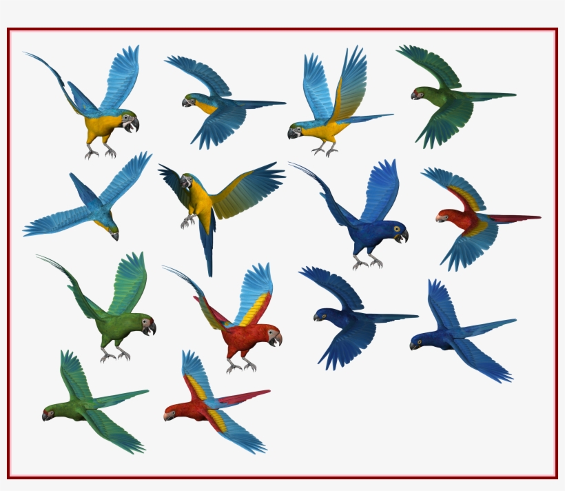 Shocking People Silouette Image - Parrots, transparent png download
