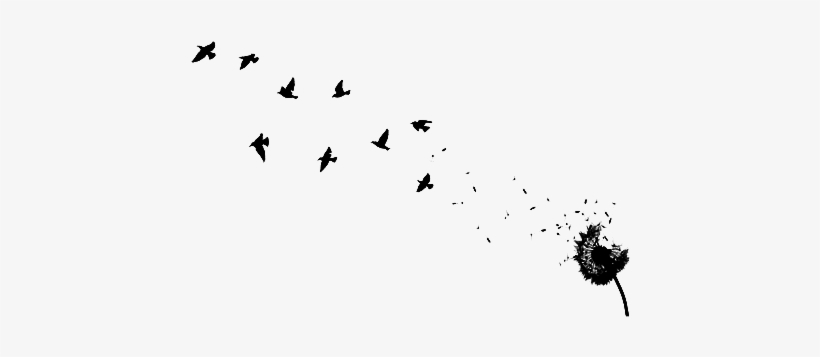 Dandelion Tattoo, transparent png download
