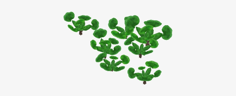 Waterhyacinth German13 - Wiki, transparent png download