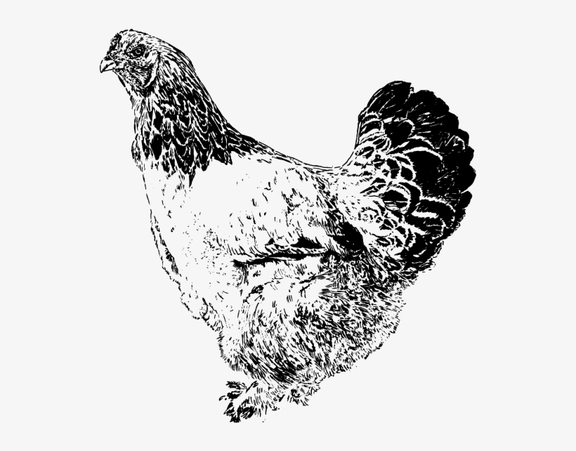 Home / Shop For Gifts / Chicken Keeper Gifts / Flock - Rooster, transparent png download